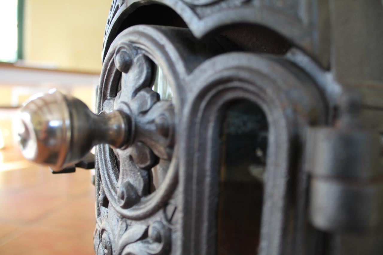 Ferienhaus "Sandduene No.19" ボルテンハーゲン エクステリア 写真